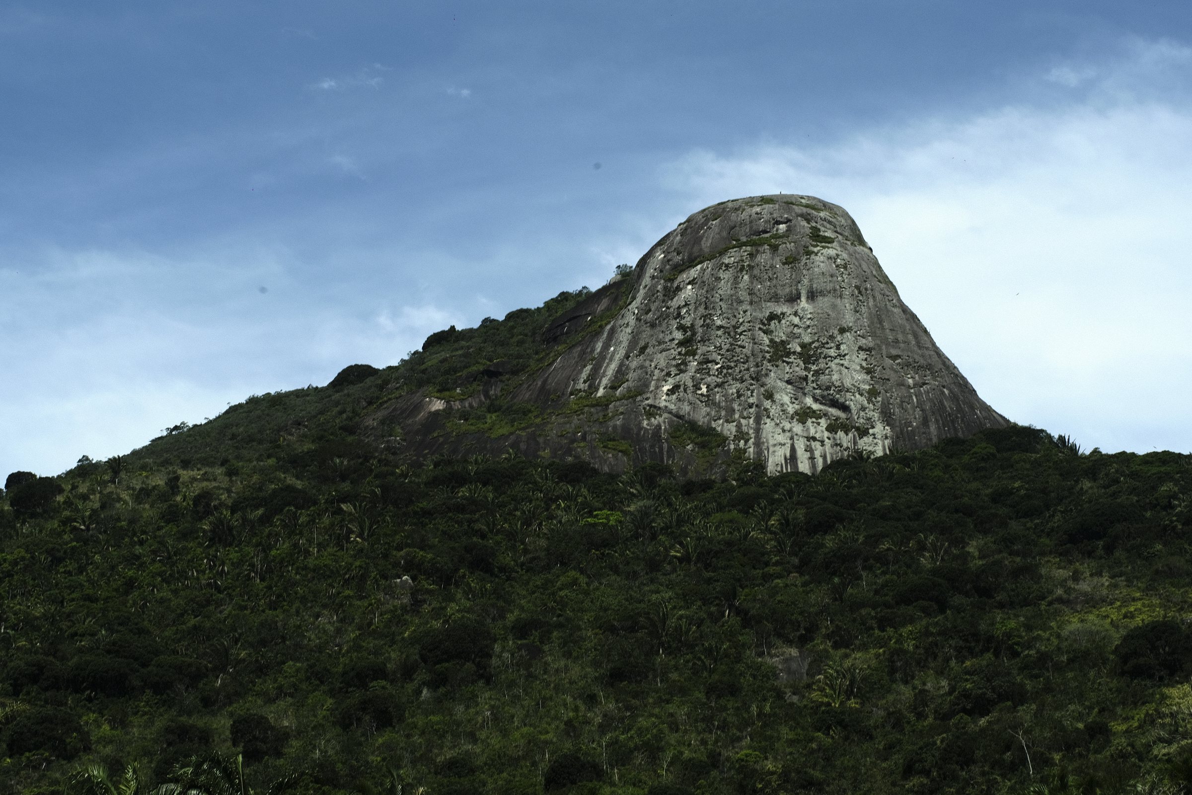 Bare rock peak rising above dense forest under a blue sky near Paraty