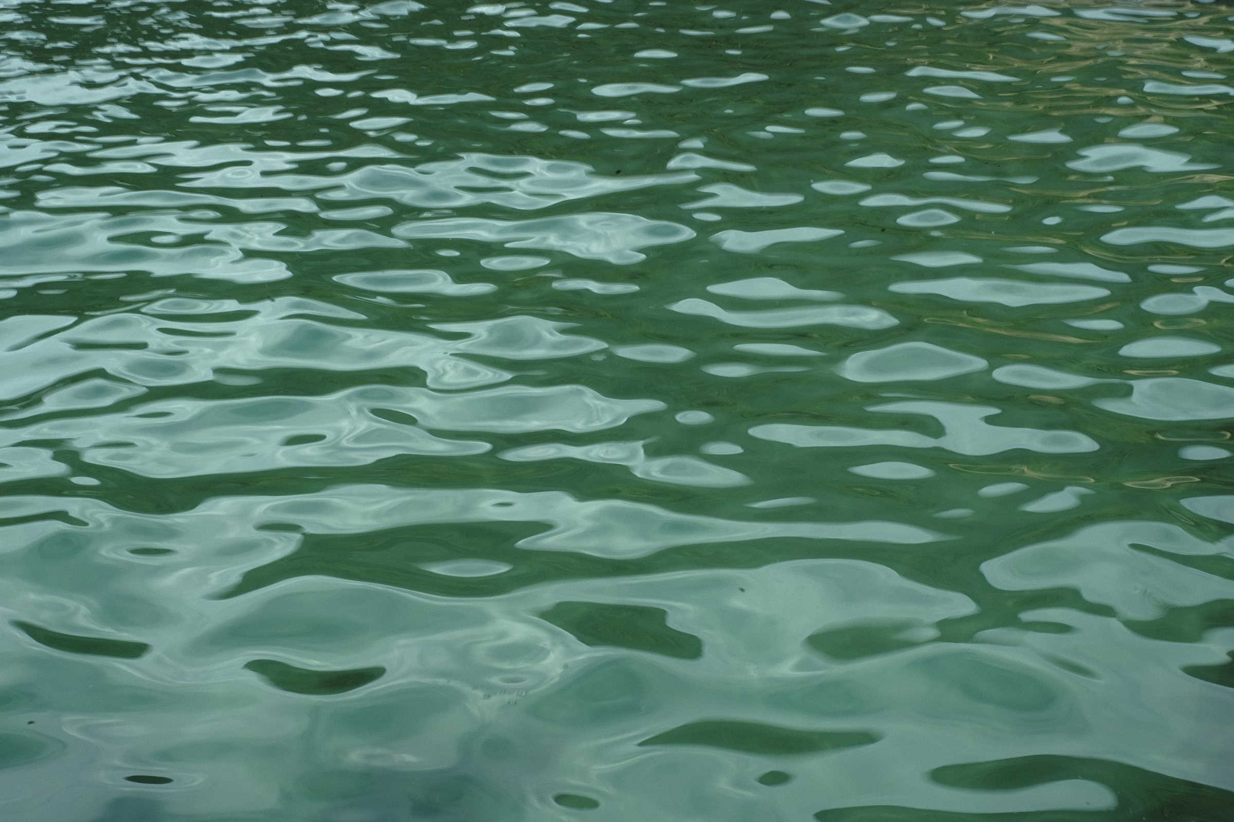 Ripples on green sea water